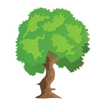 Mexican Sycamore Concepts vector