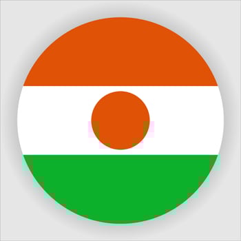 Niger Flat Rounded National Flag Icon Vector
