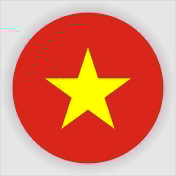 Vietnam Flat Rounded National Flag Icon Vector