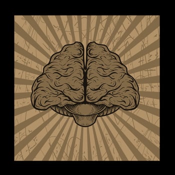 illustration antique brain with engraving style vector