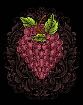 illustration red grape with engraving ornament vector