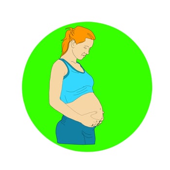 Pregnant belly woman illustration background vector