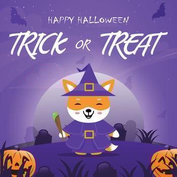 Fox uses costumes witch for Halloween party celebrations, funny costumes with scary Halloween backgrounds. vector