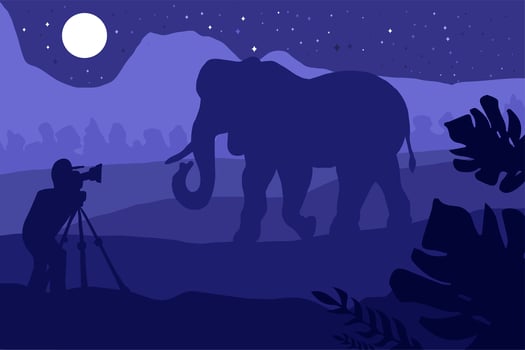Photographer photographs elephant in nature vector