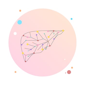 Liver health low poly wireframe. Polygonal anatomic model of human liver made of stars, lines, dots, triangles. Medical and anatomy concept. Cirrhosis and hepatitis medical treatment, transplantation vector