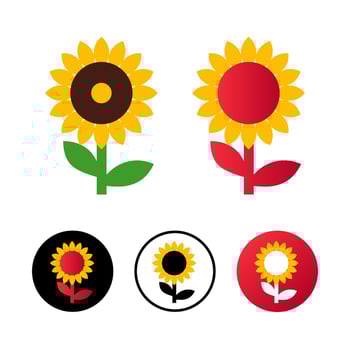 Abstract Sunflower Icon Illustration vector