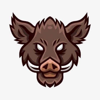 Wild Boar Head Mascot Sport Logo vector