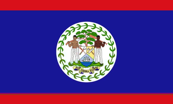 Belize Flag Vector