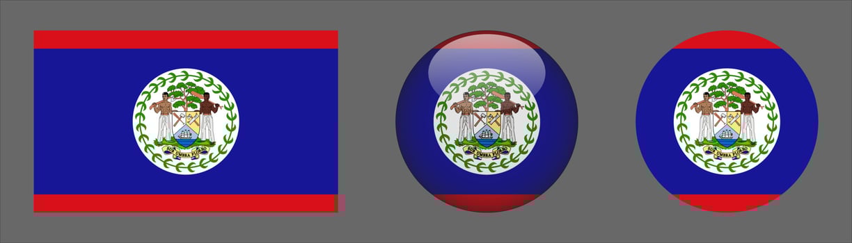 Belize Flag Set Collection, Original vector