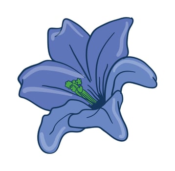 Flower Floral Illustrated Arrangement vector