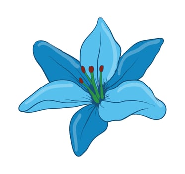 Flower Floral Illustrated Arrangement vector