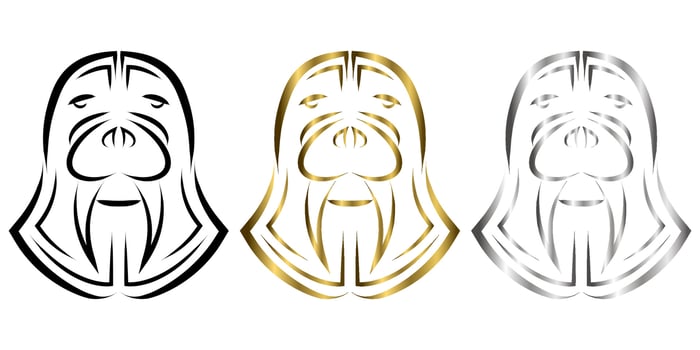 Black and white line art of walrus head. Good use for symbol, mascot, icon, avatar, tattoo, T Shirt design, logo or any design you want. vector