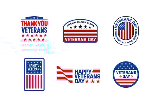 Set Of Label Badge Veterans Day with US Flag vector