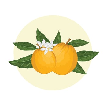 orange with leaves and flowers vector