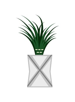 plant leaves in white pot vector