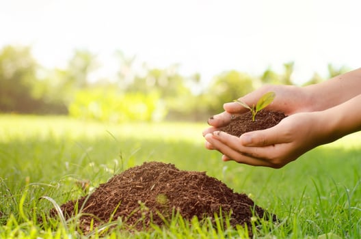 world environment day concept photo
