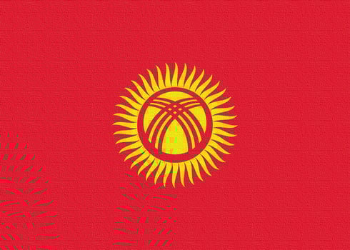 Illustration of the national flag of Kyrgyzstan photo