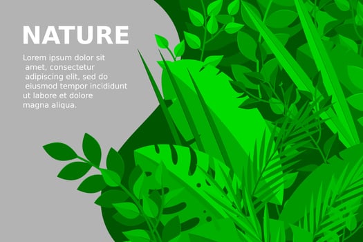 Trendy Summer Tropical Leaves Vector Design