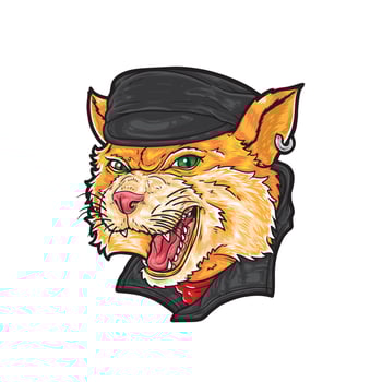 Cartoon biker head vector