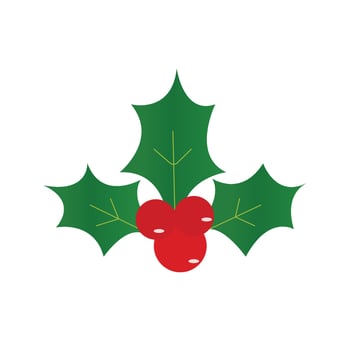 Christmas holly and berries Illustration vector