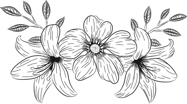 Doodle orchid flowers decorations vector