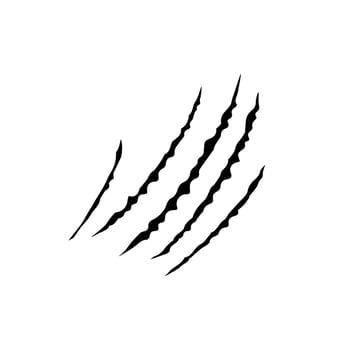 Black bloody claws animal scratch scrape track. Cat, tiger, bear, lion scratches paw shape. Four nails trace. Funny design element. Vector illustration isolated on white background