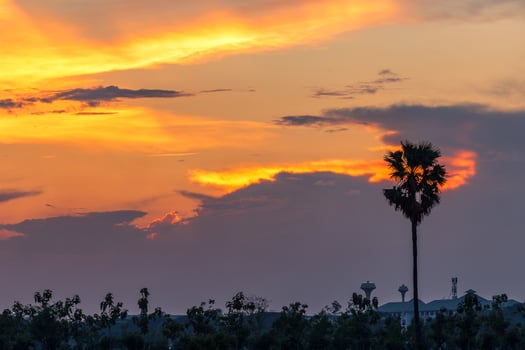 Beautiful sunset with silhouette palm trees on the twilight sky background in Thailand. photo