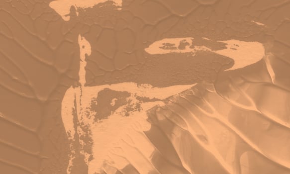 An abstract acrylic painting background with apricot color photo
