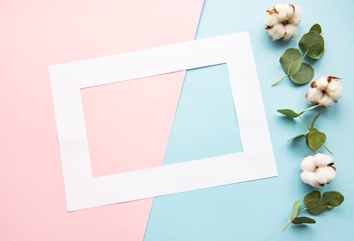 White frame and cotton flowers photo