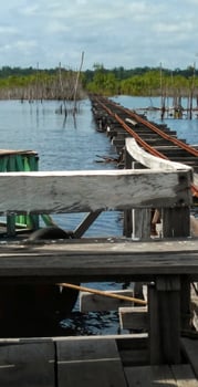 Soft Focus sold wooden pier on the river. photo