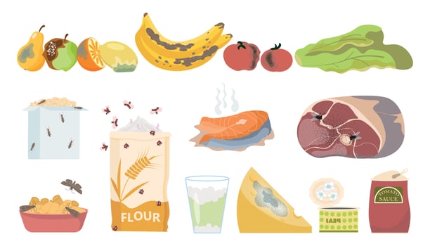 Rotten Food Icon Set vector