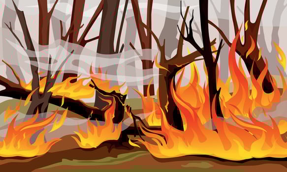 Forest Fire Flame Composition vector