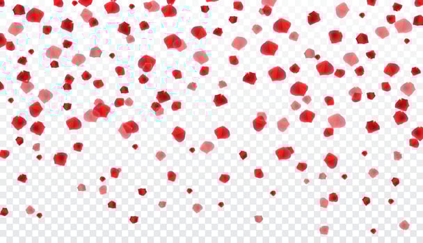 Naturalistic colorful falling rose petals on transparent background. Vector Illustration.