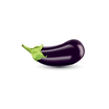 Brinjal Vector Illustration
