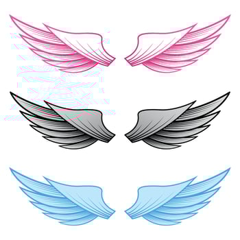 Set couple wings isolated vector