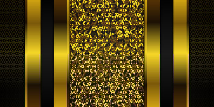 luxury black gold background vector