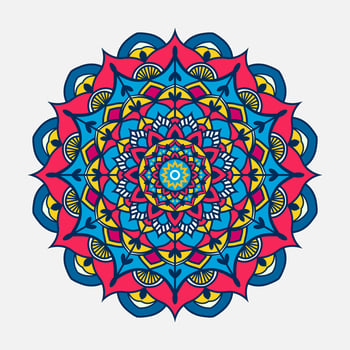 colorfull mandala design vector