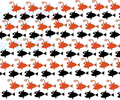fish concepts on white vector