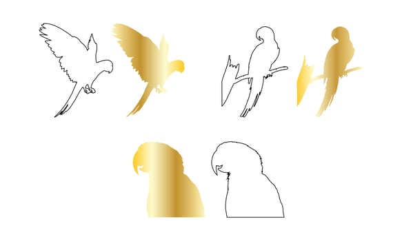 set of parrots on white vector