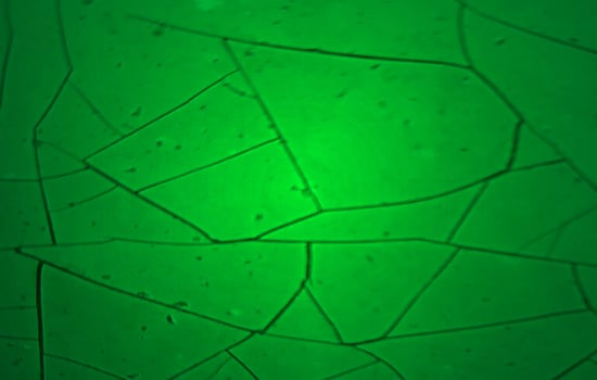 cracked and cracked cement texture background photo