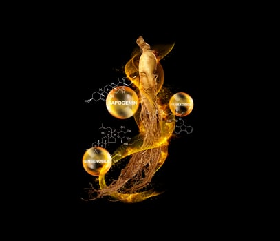 premium korean ginseng photo