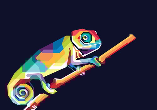 colorful chameleon illustration vector