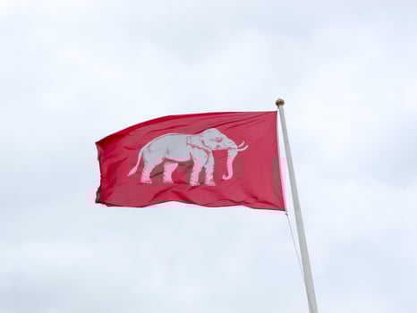 Flag of Siam white elephant on background of blue sky photo
