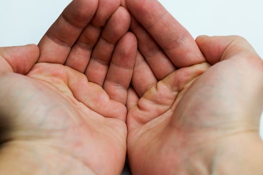 Hands on a white background. photo