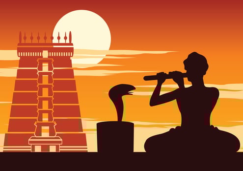snake charmer play flute to snake,show of Indian,sunset time vector