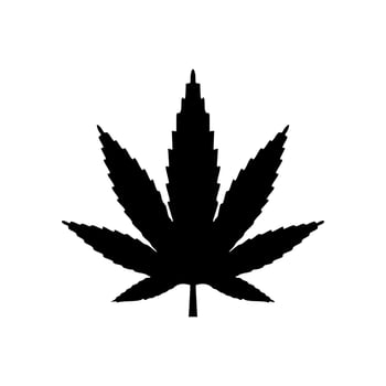 Vector of black or silhouette view of cannabis leaf or hemp or marijuana, herbal plant for medical treatment