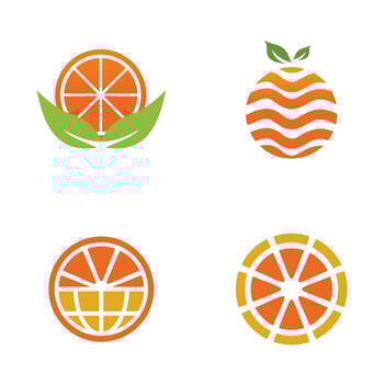 Orange fruit icon set logo design vector