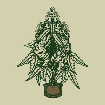 Vinatge marijuana plant handrawn vector