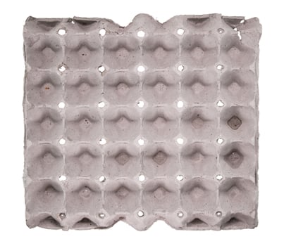 Close-up view of raw chicken eggs in egg box photo