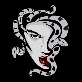 medusa head ,illustration medusa vector